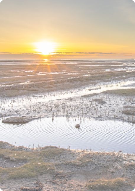 Waddenzee