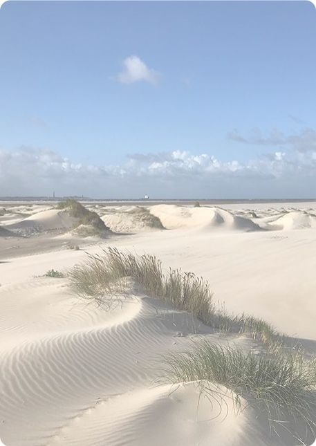 Nationaal Park Duinen van Texel