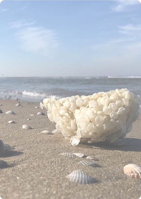 Strand en zee